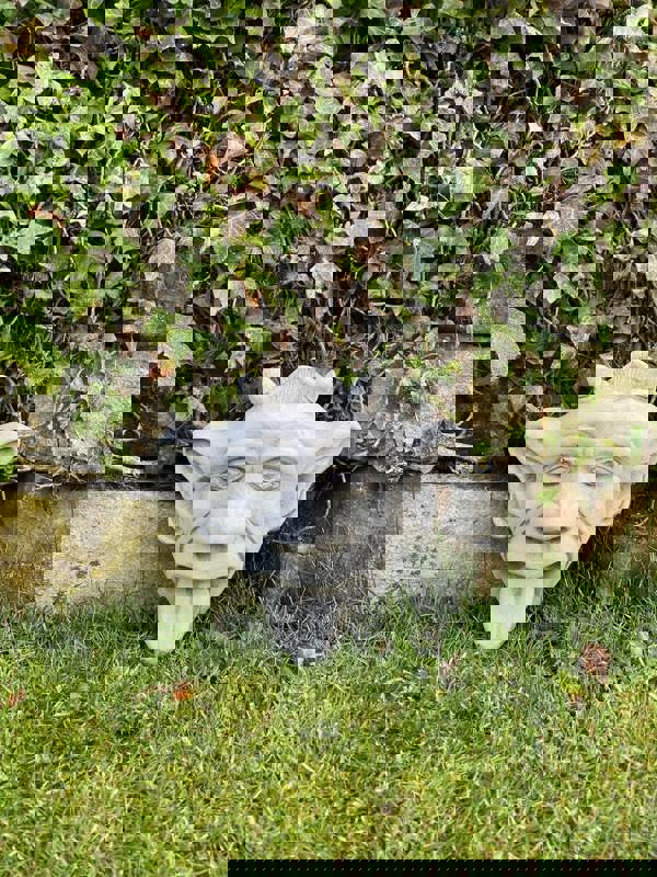 Stone Cast Gargoyle Wall Plaque