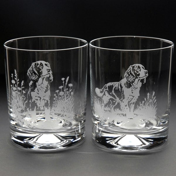 Glyptic Glass Art Springer Spaniel Dog Whiskey Tumbler Glass - Hand Etched/Engraved Gift