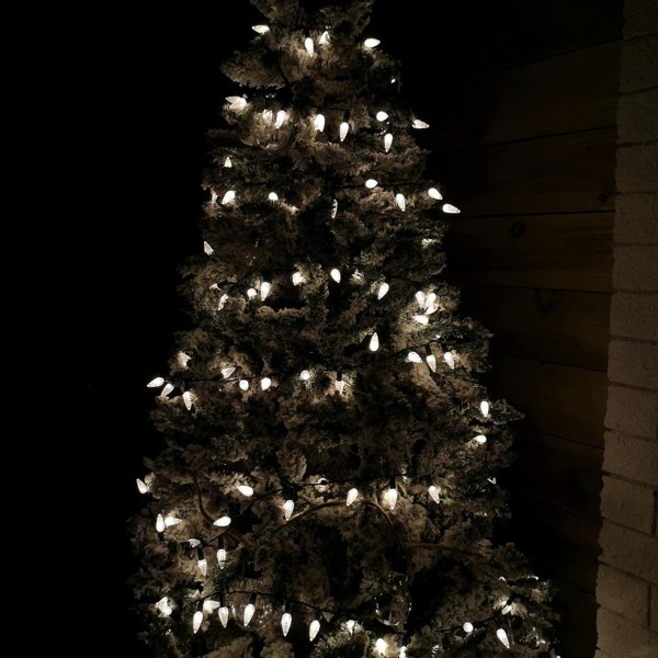 Samuel Alexander 7.5m 150 LED Multi-action Pine Cone Christmas Lights in Warm White