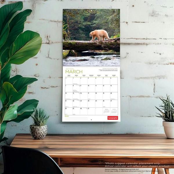 Bears Calendar 2027, Wall Calendars, Month To View, Animals, Gift