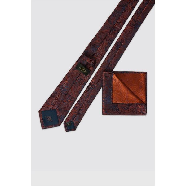 Antique Rogue Rust Paisley Tie