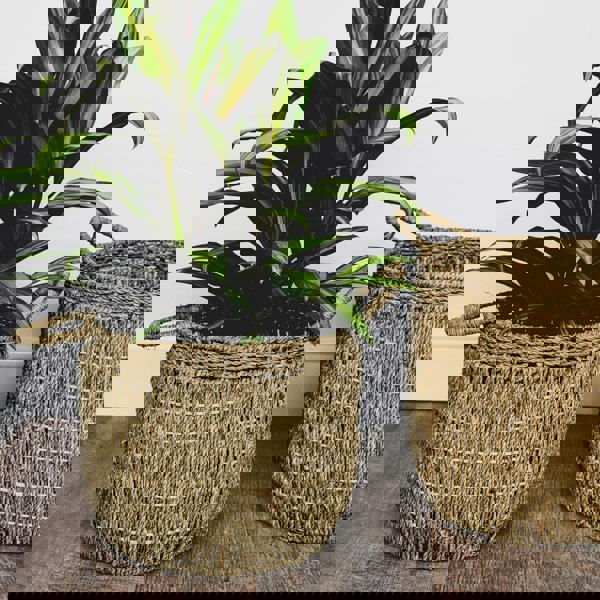 Ivyline Seagrass Lined Basket Natural Set of 2