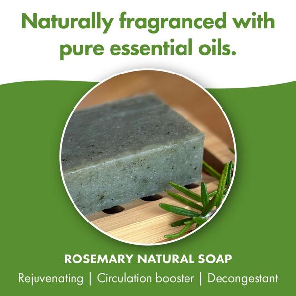 Friendly Soap 3 Pack - Natural Soap - Rosemary