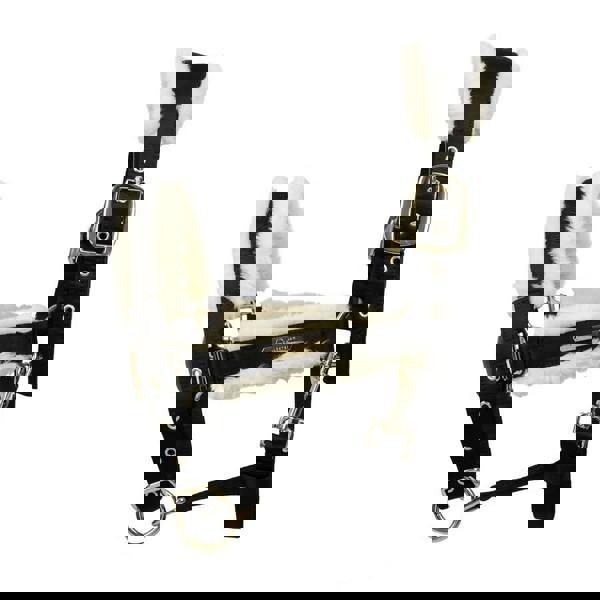 Coldstream Langlee Luxury Horse Headcollar and Leadrope - Black - 