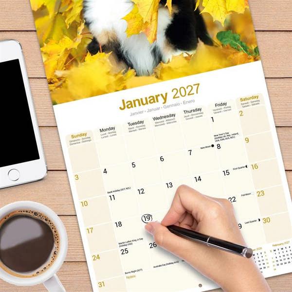Australian Shepherd Calendar 2027, Wall Calendars, Month To View, Dogs, Gift