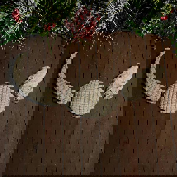 Crocodile Stone Cast Garden Ornament 