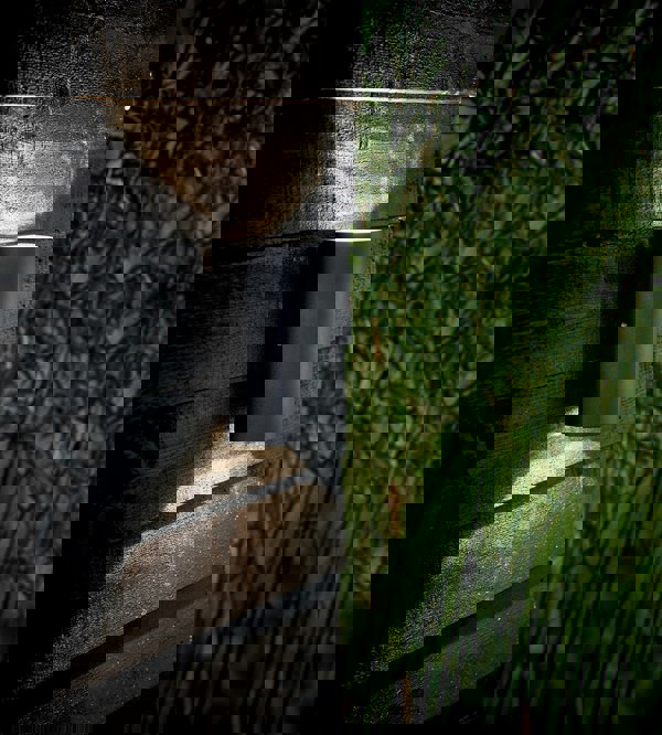 Nordlux Rold Round | Wall light | Black