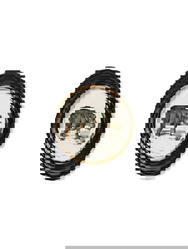Exceptional Art c.1846 Rhino & Hippo - Round Frames