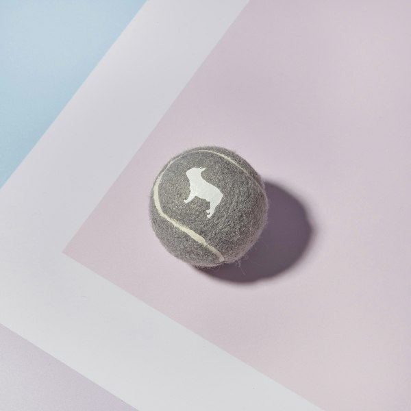 Grey Tennis Ball with White Barc London Logo