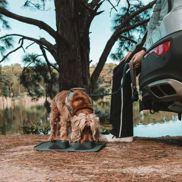 EzyDog Roll-a-Bowl 2-in-1 Silicone Dog Travel Bowl