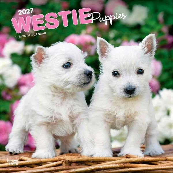 Westie Puppies Calendar 2027, Wall Calendars, Month To View, Dogs, Gift