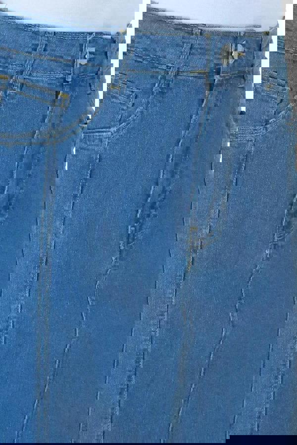 Paulo Due Women's A Line Stretch Denim Skirt