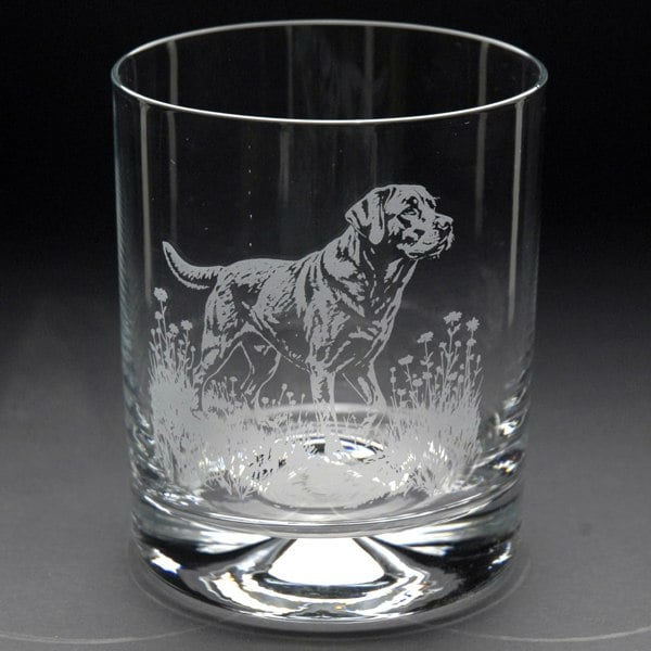 Glyptic Glass Art Labrador Dog Whiskey Tumbler Glass - Hand Etched/Engraved Gift