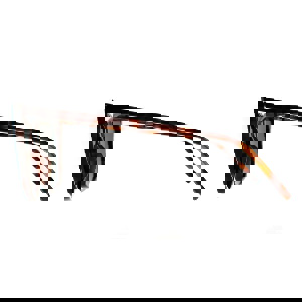 Saint Laurent Sunglasses SL 214 Kate Thin 003 Havana Grey