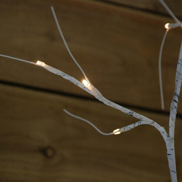 Samuel Alexander 1.8m Twinkling Birch Tree with Warm White LEDs