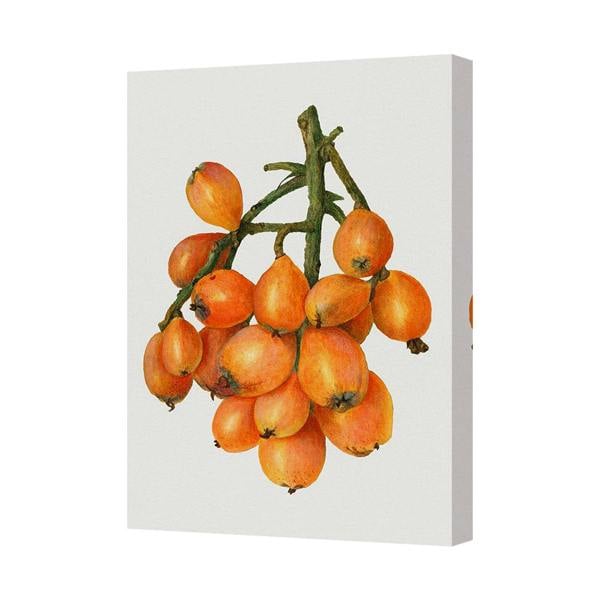 Benjamin Tate Design Orange Berry Cluster Canvas Art Print Gallery Wrapped With Deep Wooden Frame