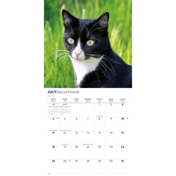 Tuxedo Cats Calendar 2027, Wall Calendars, Month To View, Cats, Gift