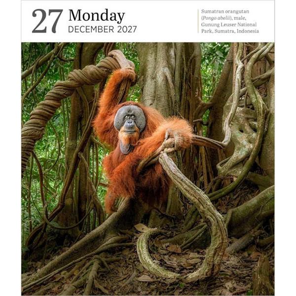 Audubon, Nature Gallery Desk Calendar 2027, Desk Calendars, Day To View, Natural World, Gift