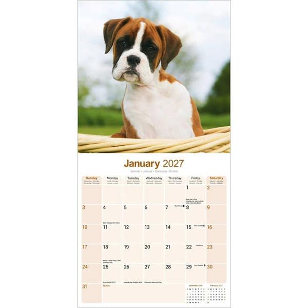 Boxer Puppies Calendar 2027, Wall Calendars, Month To View, Dogs, Gift