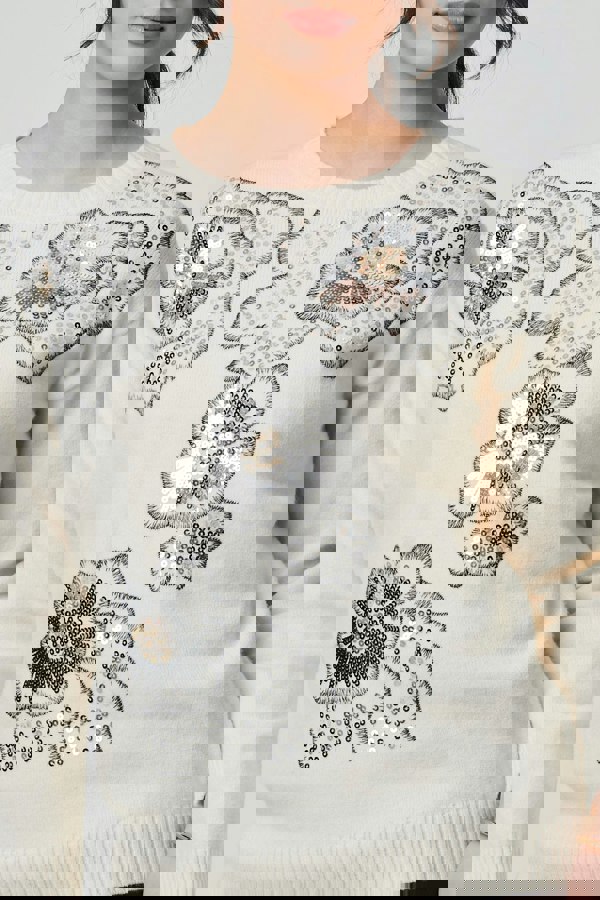 Ivory | Floral Sequin Detail Long Sleeve Jumper
