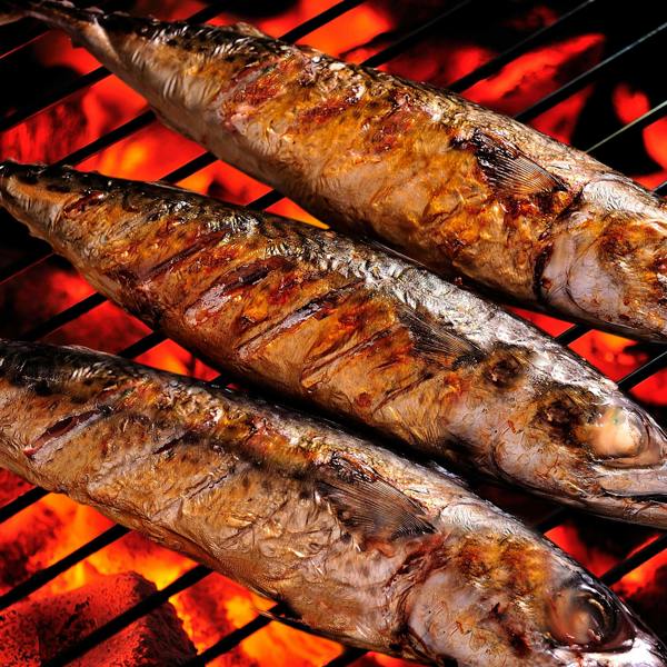 Dellonda DG158 Kamado Grills Action shot - cooking - fish