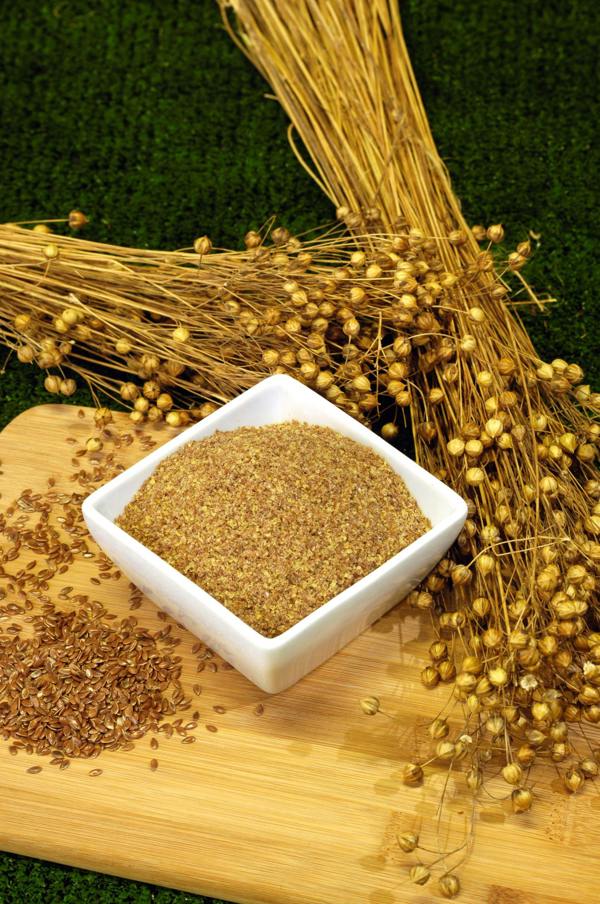Fresh cold-milled Ground flax in a square white dish surrounded by whole flaxseeds and dried straw-coloured sprays of flaxseeds on their stalks