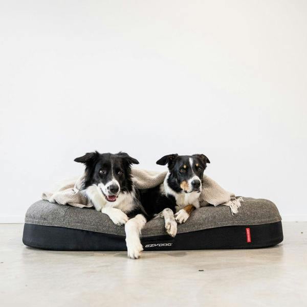 EzyDog Calm Elite Orthopaedic 2 in 1 Design Dog Bed