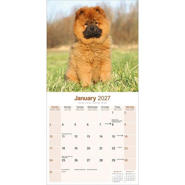 Chow Chow Calendar 2027, Wall Calendars, Month To View, Dogs, Gift