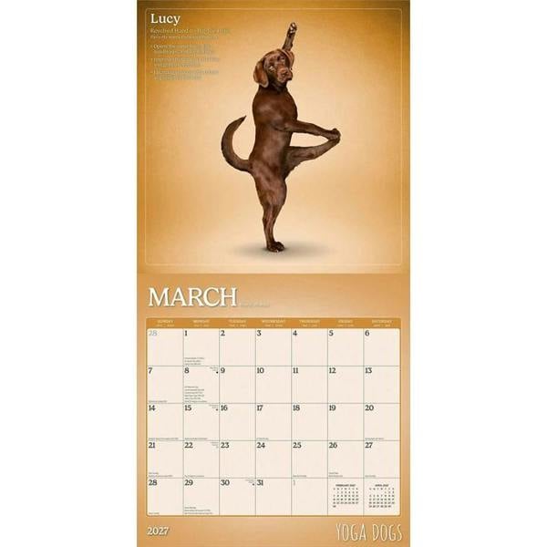 Yoga Dogs Calendar 2027, Wall Calendars, Month To View, Humour, Gift