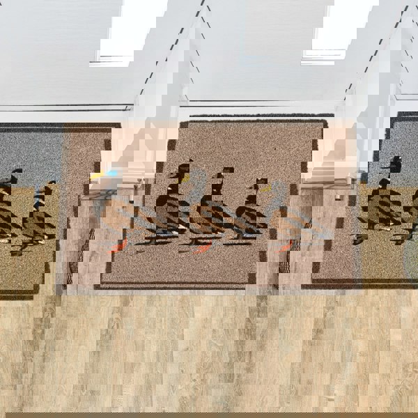 JVL Eco-Friendly Latex Backed Coir Entrance Doormat, 45x75cm - Ducks