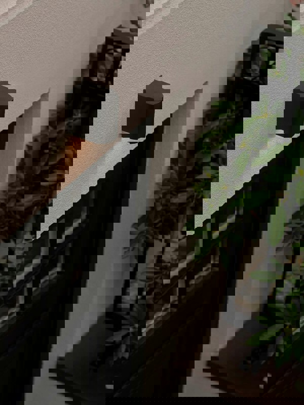 Nordlux Dion Single | Wall light | Black