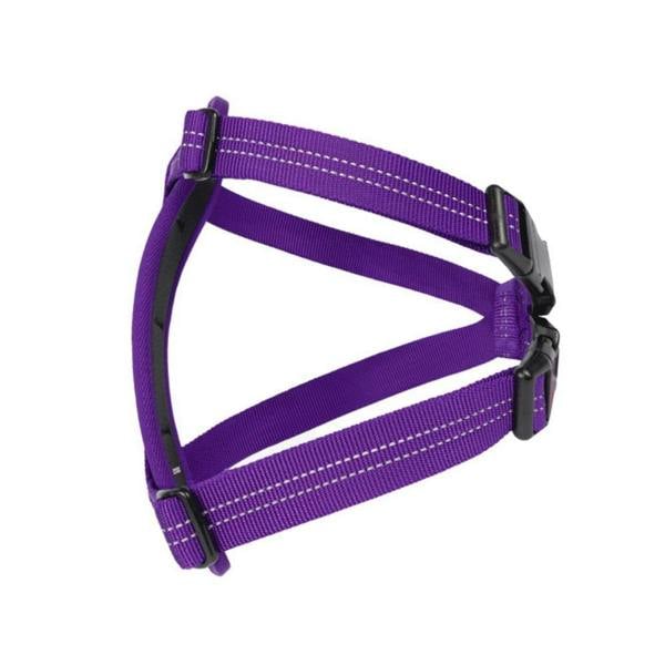 EzyDog Essential Chest Plate Dog Harness in Purple