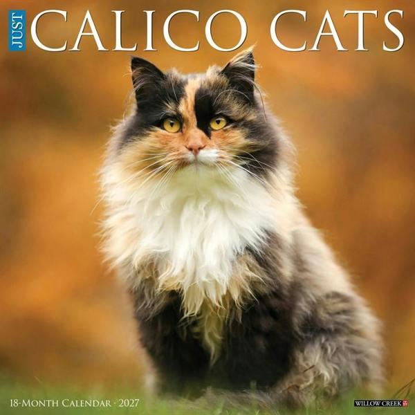 Calico Cats Calendar 2027, Wall Calendars, Month To View, Cats, Gift