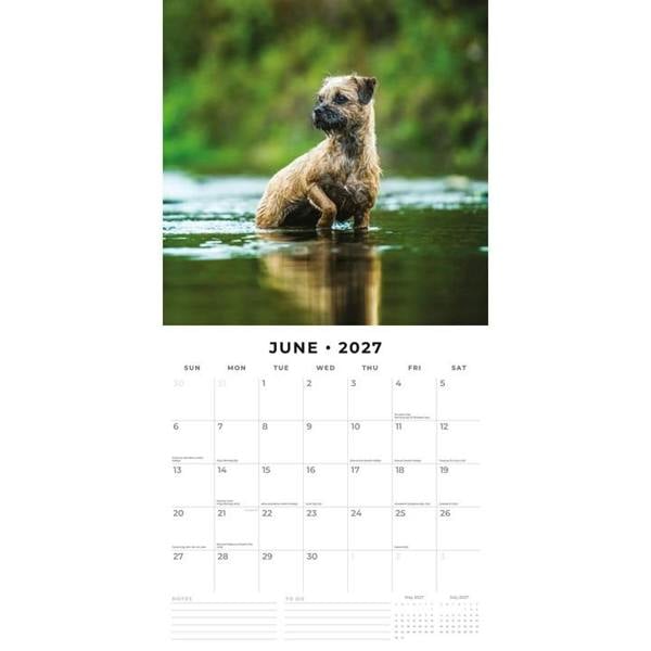 Border Terriers Calendar 2027, Wall Calendars, Month To View, Dogs, Gift