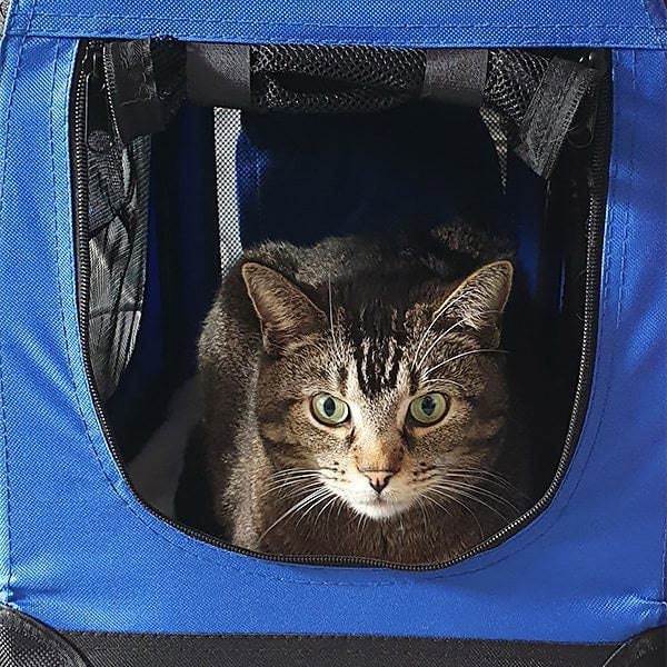 HugglePets Fabric Crate Foldable Pet Carrier