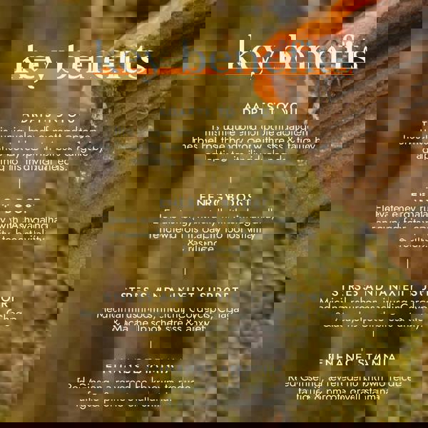 Fushi Herbal & Vitamin Blends Adaptogen Energy Blend x 60 Capsules - Additional 6