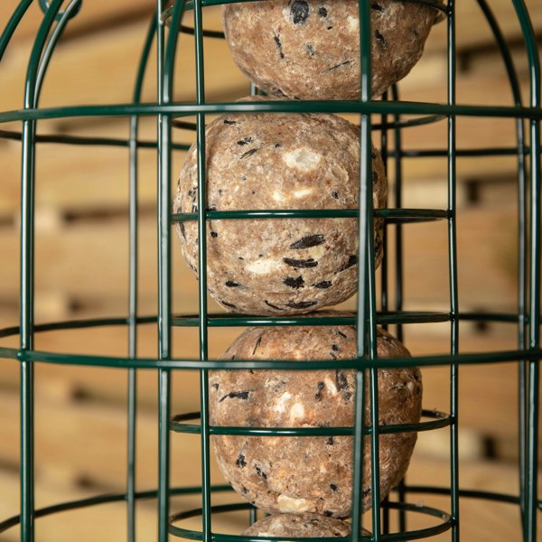 Samuel Alexander Pack of 5 Wild Bird Fat Ball Feeder with Squirrel Guard