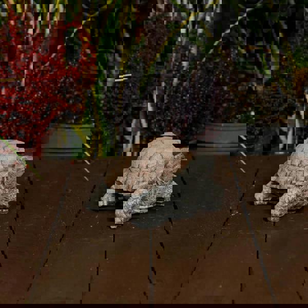 Small Stone Cast Tortoise Garden Ornament 