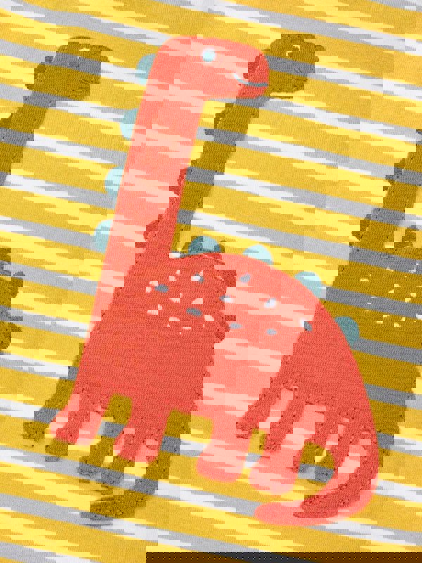 Kite Boys Organic Dinky Dino T-Shirt