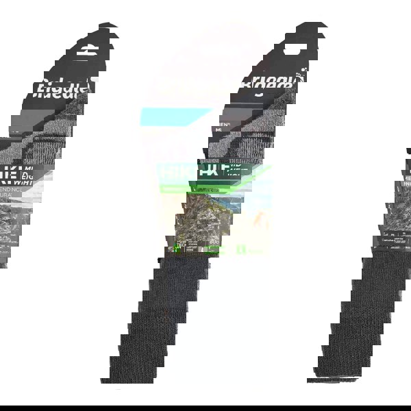 t4option1_2