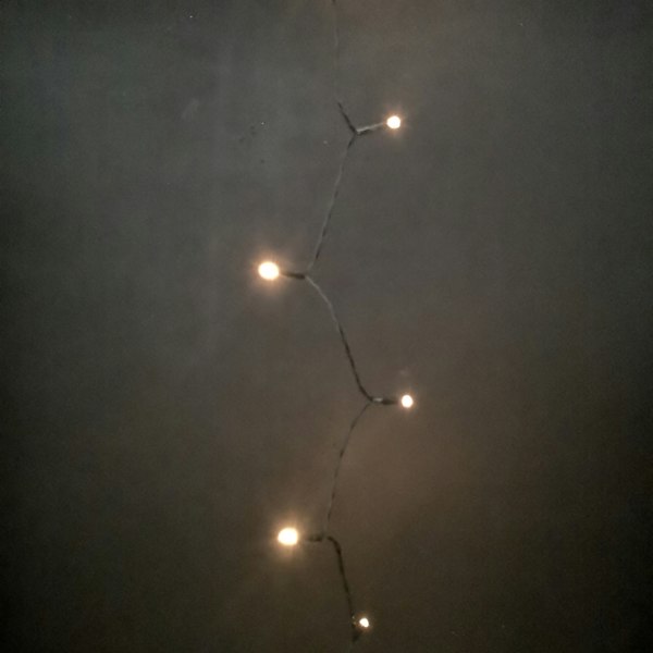 Samuel Alexander 24 LED 2.3m Premier Christmas Indoor Outdoor Multi Function Battery Operated String Lights with Timer in Vintage Gold