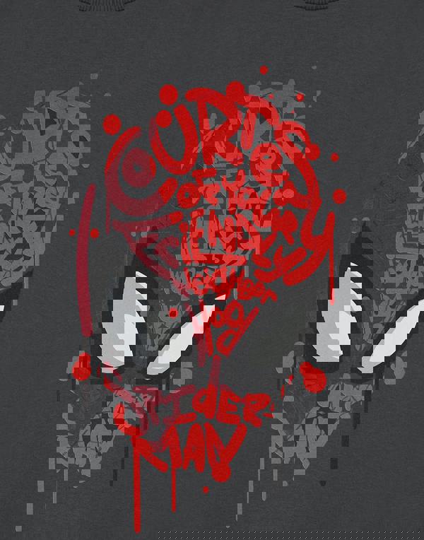 Marvel Boys Grey Friendly Neighbourhood Kids Short Sleeved T-Shirt