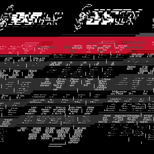 Beast Gear Adjustable Aluminium Speed Jump Rope