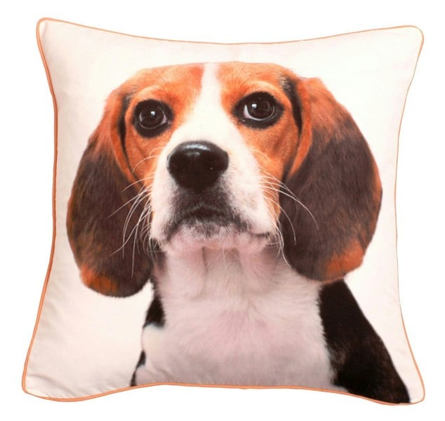 Velosso Adorable Bold Print Animal Cushion - 43cm x 43cm