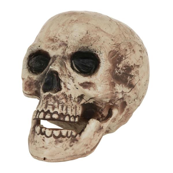Bristol Novelty Skull Decoration - Brown - 
