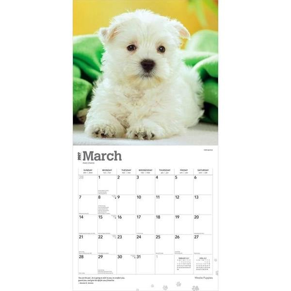 Westie Puppies Calendar 2027, Wall Calendars, Month To View, Dogs, Gift