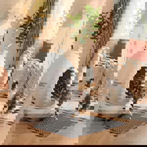 Self Cleaning Litter Box