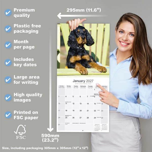 Gordon Setter Calendar 2027, Wall Calendars, Month To View, Dogs, Gift
