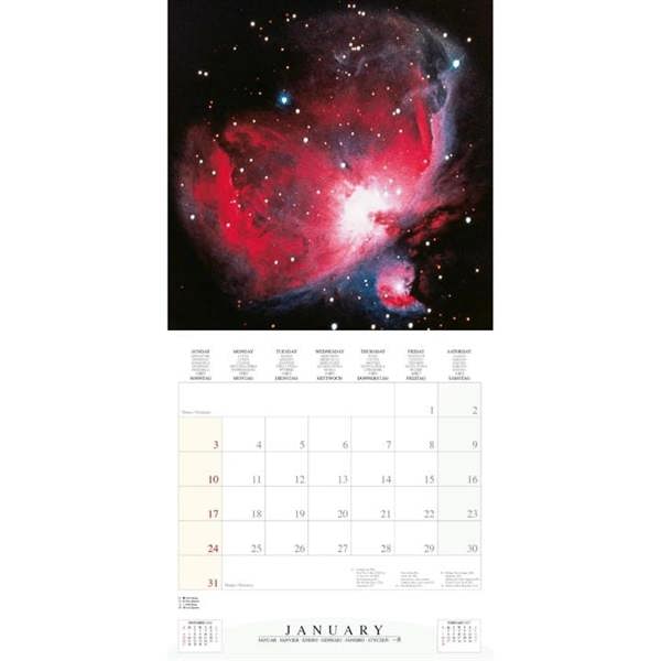Where Stars Are Born Calendar 2027, Wall Calendars, Month To View, Natural World, Gift