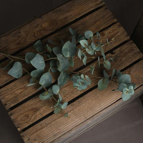 Wyld Haus Set of 3 Artificial Flowers Variegated Eucalyptus Stems